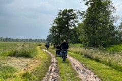 IMG_2690